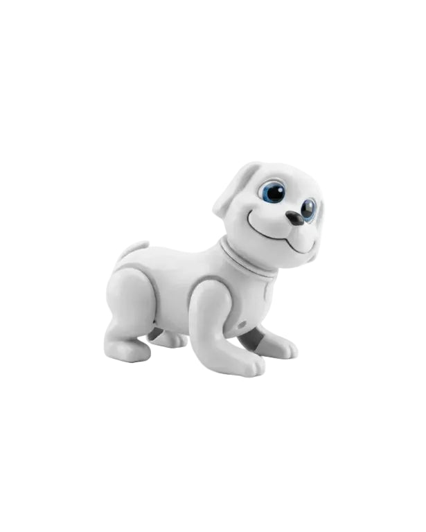 Pet BOB